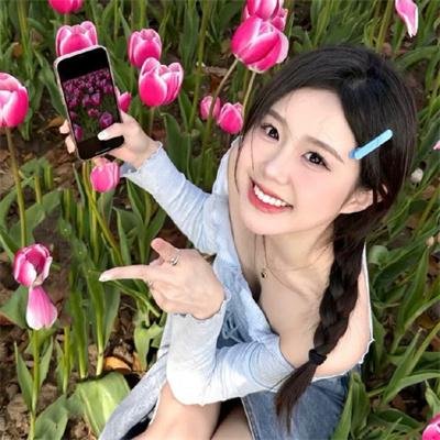 宫廷斗鸡